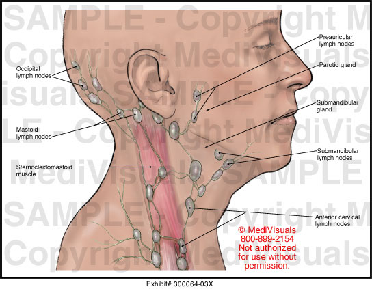 lymph nodes back of neck
